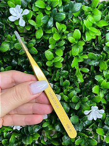 Pinça Glitter Reta