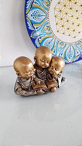 Budinhas Sábios com Livro 8cm