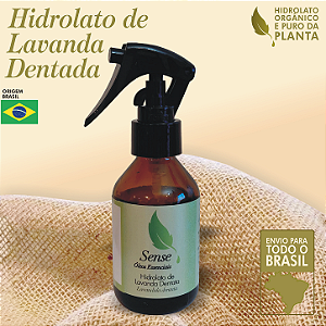 Hidrolato de Lavanda Dentata 100 ml