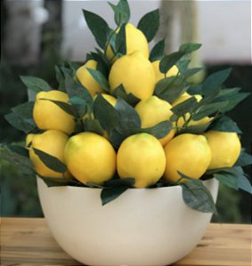 Cachepot Bacia Redondo Cerâmica Marfim Decoração 13,6x28,4 cm