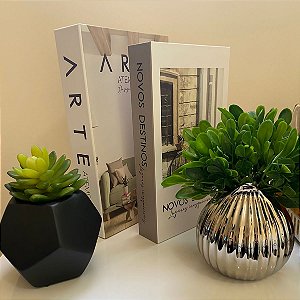 Kit Caixa Livro Modelo "Arte Atemporal"  e "Novos Destinos"