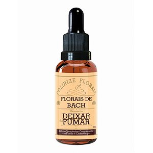 Floral De Bach Momento Deixar De Fumar 30ml