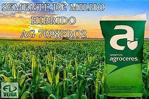 SEMENTE DE MILHO HIBRIDO AG7098PRO2