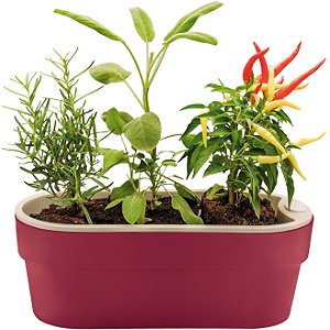 Vaso Jardineira Horta p/ Plantas Autoirrigável