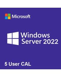 Microsoft Windows Server CAL 2025 BRA COEM 5 User EP2-25274