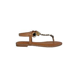 Maia camel