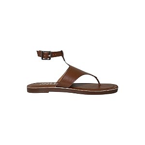 Amara camel