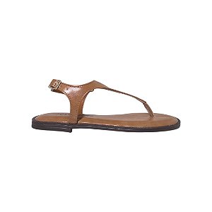 Ana camel