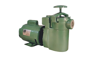BOMBA THEBE FR-12 1,0CV MONOF PARA PISCINA