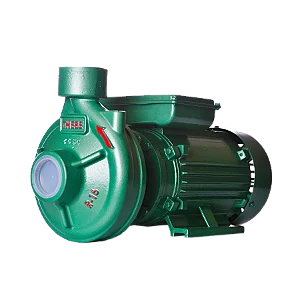 BOMBA THEBE R-16 (R) 5.0 CV MONF.SELO