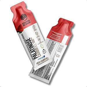 Palatinose Gel Display 15 Sachês de 60g Alquimia Da Saúde
