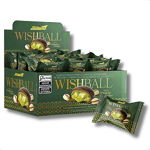 Wishball Gourmet Caixa 15 Unidades Energia Para Treino New Millen
