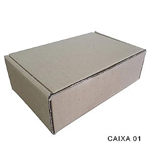 Caixa Papelão Correio 22,5x14,6x7 com 10 cx