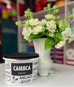 TUPPER CAIXA PB CANJICA