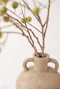 Vaso Catalina