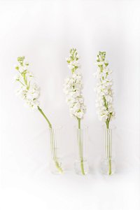 Vaso Fofura