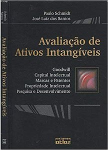 Avaliação De Ativos Intangíveis Schmidt and Santos