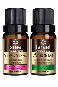 Kit Óleo Essencial Alecrim e Ylang Ylang 10ml (cada)