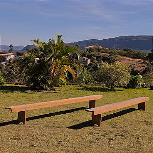 Par de Banco de Madeira com Pés Curvados - 390x23x452cm