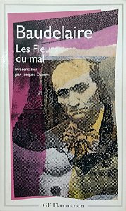 Les Fleurs du Mal - Baudelaire