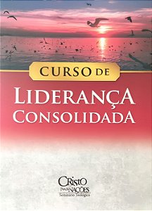 Curso de Liderança Consolidada - Rita Leite; Vários Autores