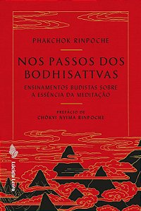 Nos Passos dos Bodhisattvas - Ensinamentos Budistas Sobre a Essência da Meditação - Phakchok Rinpoche