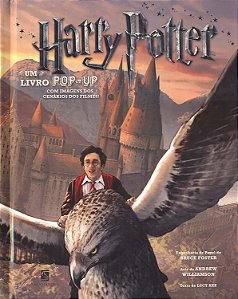 Harry Potter - Livro Pop-Up - Bruce Foster, Andrew Williamson, Lucy Kee