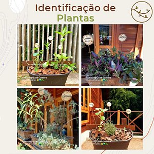 15 Plaquinhas de madeira para identificação de Plantas.