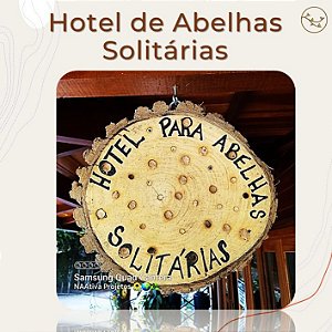 HOTEL de Abelhas Solitárias