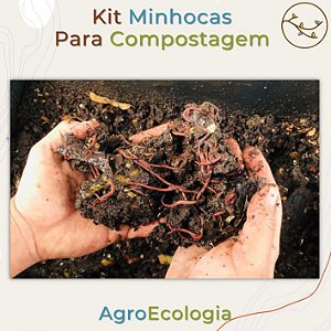 Kit Fertilizante Natural Líquido para Plantas