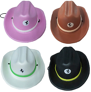 Chapéu Country Cowboy Eva Adulto Sortido C/5 Unidades
