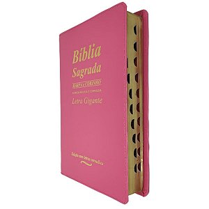 Bíblia Sagrada Letra Gigante Palavras De Jesus Em Vermelho Harpa E Corinhos - PINK Cpp