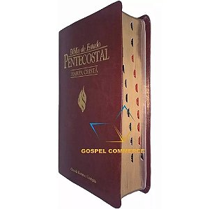Bíblia De Estudo Pentecostal Média Com Harpa Cristã e Índice Vinho Cpad
