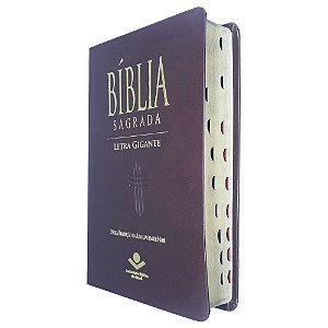 Bíblia Sagrada Letra Gigante - Marrom Ntlh - Sbb