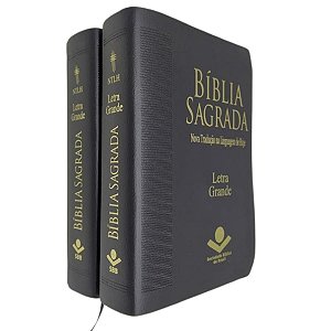 Bíblia Sagrada Tijolinho Letra Grande Índice Lateral Capa Detalhe Preto NTLH