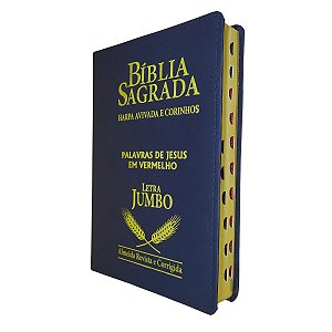 Bíblia Sagrada Letra Jumbo Harpa Preta