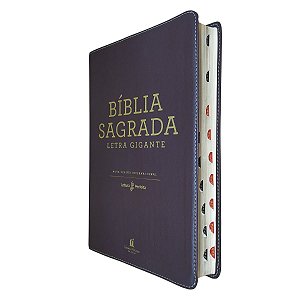 Bíblia Sagrada Letra Gigante | NVI Com Índice | Luxo Marrom