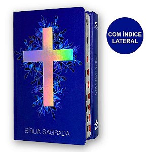 Bíblia Sagrada Cruz Jovem Índice Prata | Capa Dura | NAA