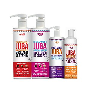 Kit Widi Care Linha Juba Encrespando , Encaracolando, Gelatina E Mousse