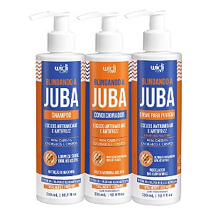 Kit Widi Care Blindando a JUBA Shampoo, Condicionador, Creme