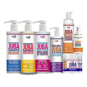 Kit Widi Care Linha Juba Shampoo, Condicionador, Encrespando, Máscara, Geleia, Blend e Mousse