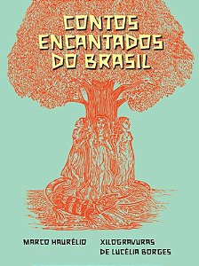 Contos encantados do Brasil