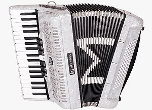 ACORDEON 80 BAIXOS MICHAEL ACM8007N PWH