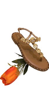 SANDÁLIA FLAT LIA LINE CARAMELO MOEDAS