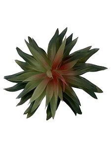 Folhagem Suculenta x52 Verde Rosa 15cm