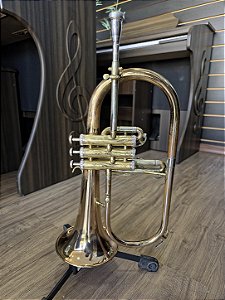 Fluguelhorn Si bemol Eagle modelo FLG507 - venda no estado de conservação (SEMINOVO) #44939