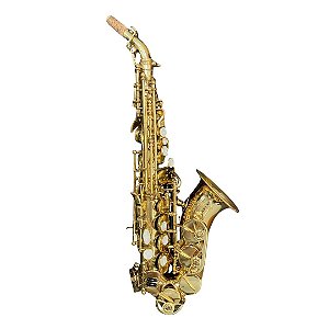 Saxofone soprano curvo Hoyden seminovo completo