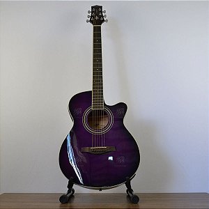 Psa 10 4枚 Violão Elétrico Western 40 Cutway Anatomico J. White AH-40EQ PLS