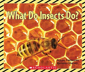 What Do Insects Do?