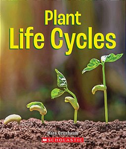 plant life cycles